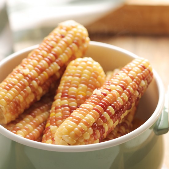 이미지 상세보기